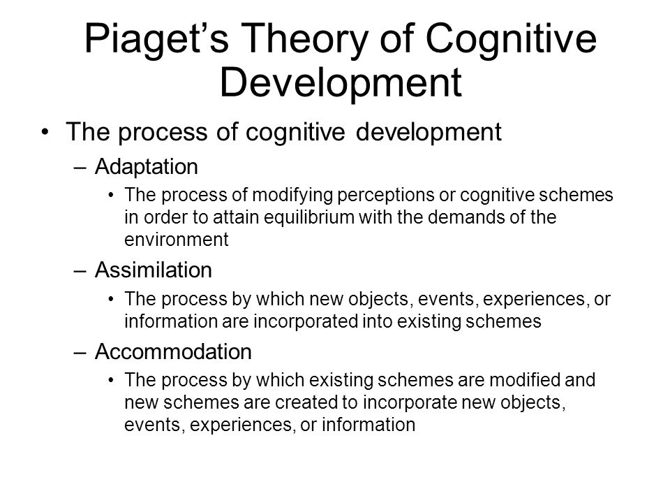 Piaget's cognitive adaptation process store